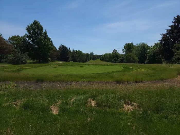 The Jewel of Grand Blanc - From Banana 1015 Radio (newer photo)